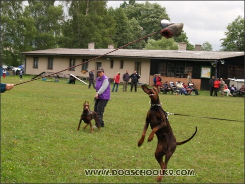 Training camp - Lukova 2007